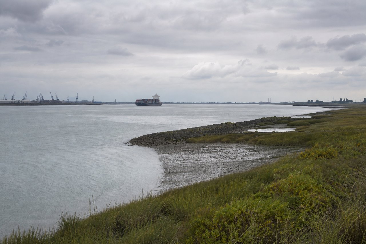 Getijrivier met laag water dat de slikken blootlegt, met een schip en kade in de verte